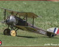 TSR Watermark - 0427